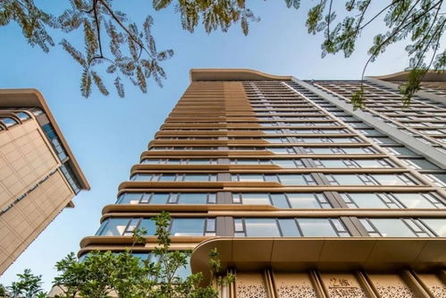 廈門 中駿 天盈 融合本土文化和設計美學的匠心之作鳳凰網(wǎng)山東 鳳凰網(wǎng)